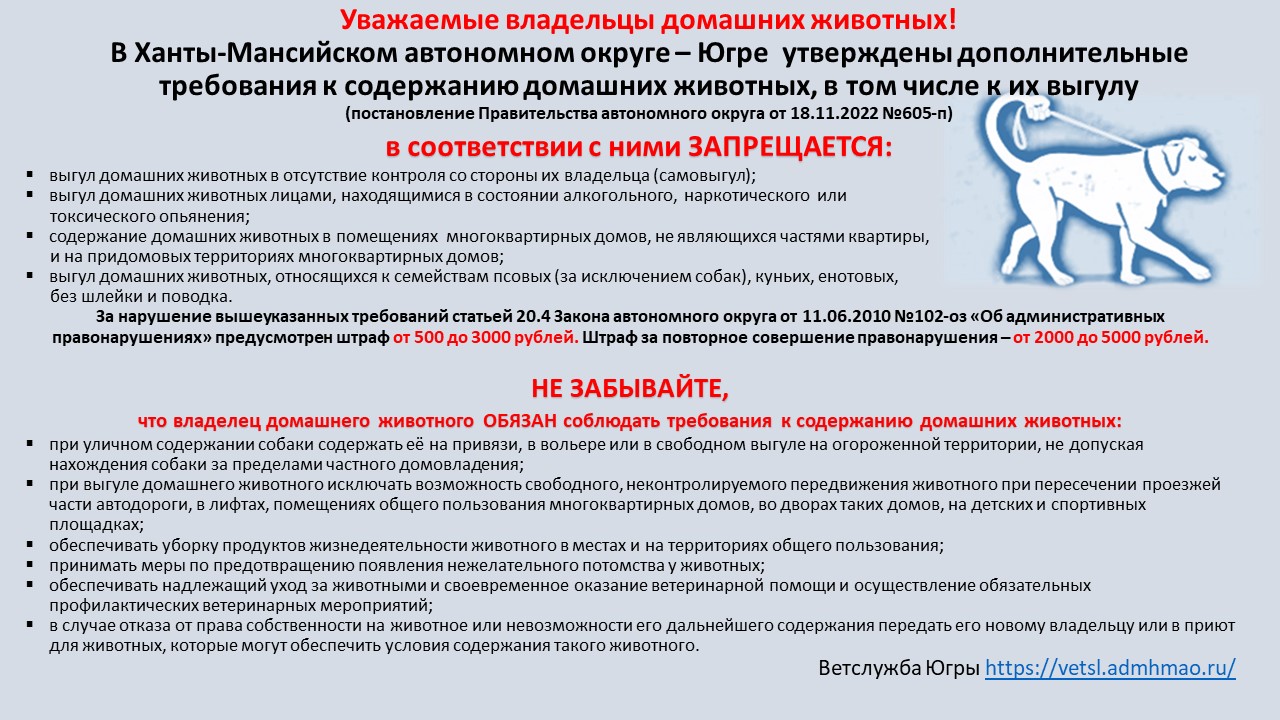 Памятка по новым требованиям для владельцев домашних животных