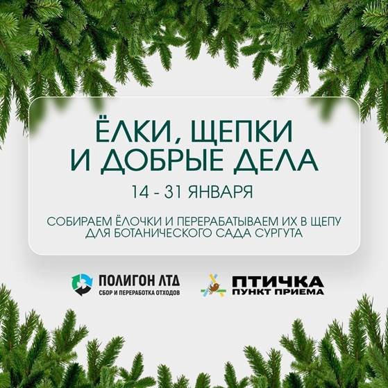 афиша
